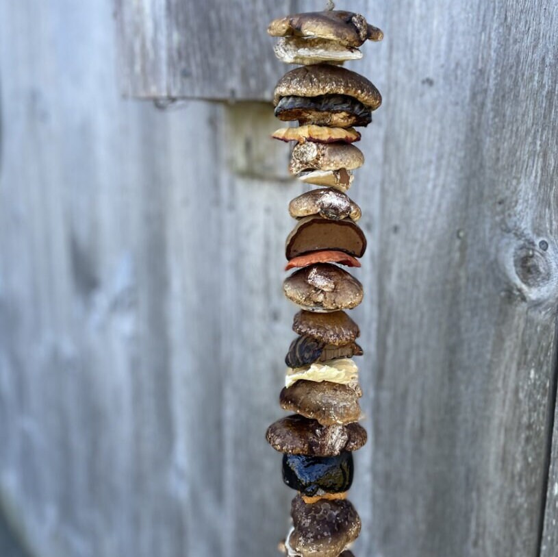Natural Dried Mushroom Garland, Rustic Dried Mushroom Garland, New