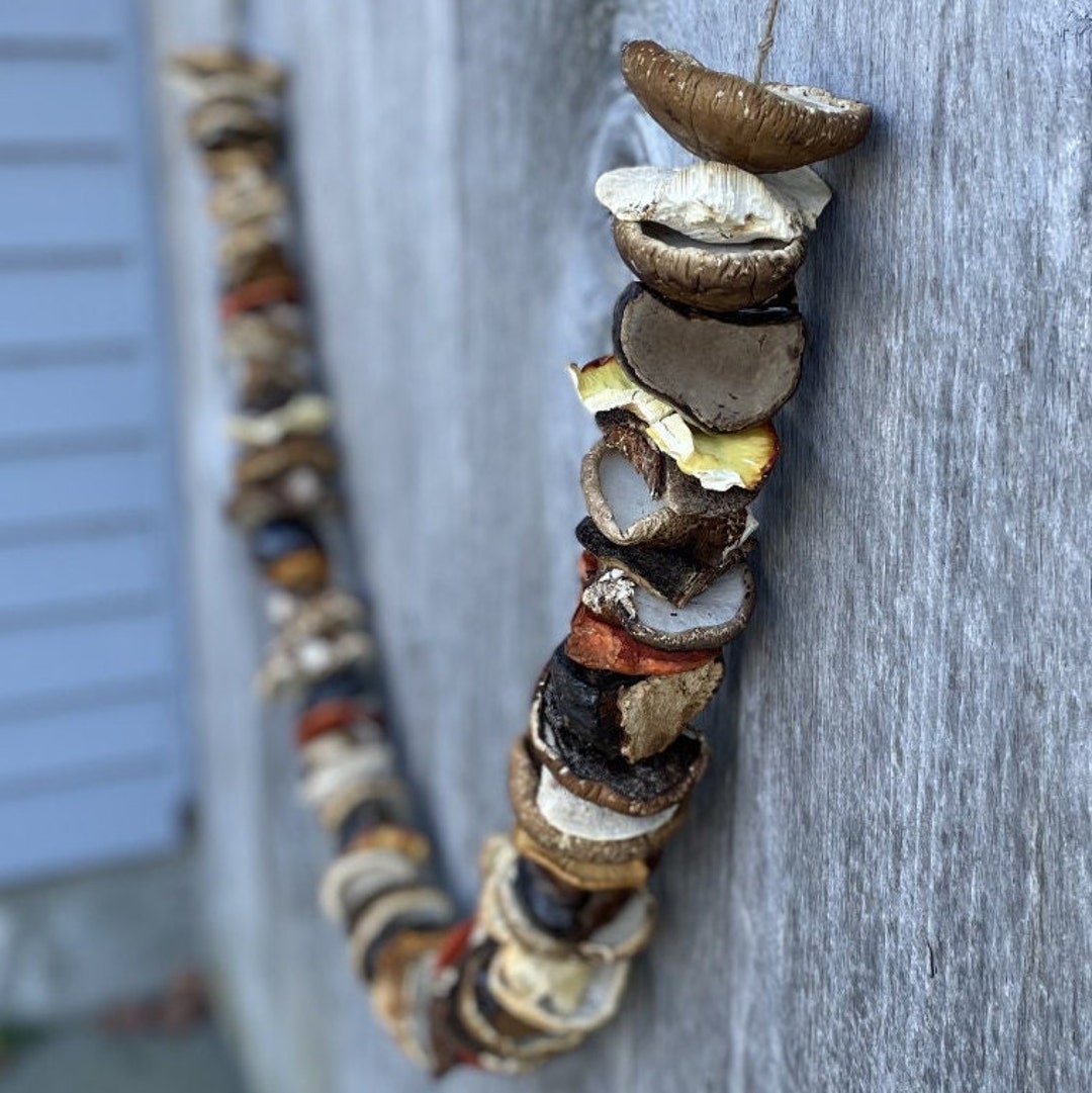 Natural Dried Mushroom Garland, Rustic Dried Mushroom Garland, New