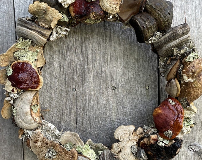 15inch Dried Mushroom and Lichen Wreath, New Hampshire Mushroom and Lichen Wreath, Natural