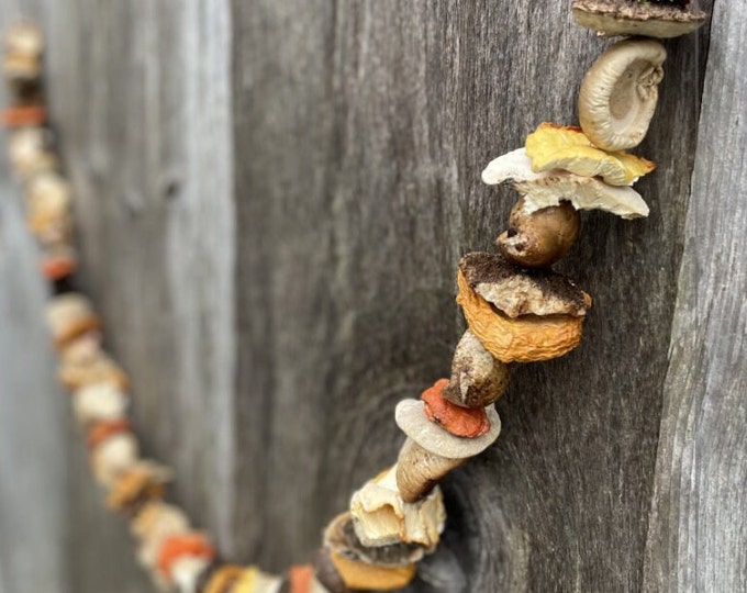 Natural Dried Mushroom Garland, Rustic Dried Mushroom Garland, New