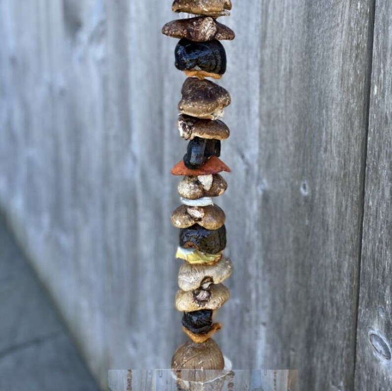 Natural Dried Mushroom Garland, Rustic Dried Mushroom Garland, New