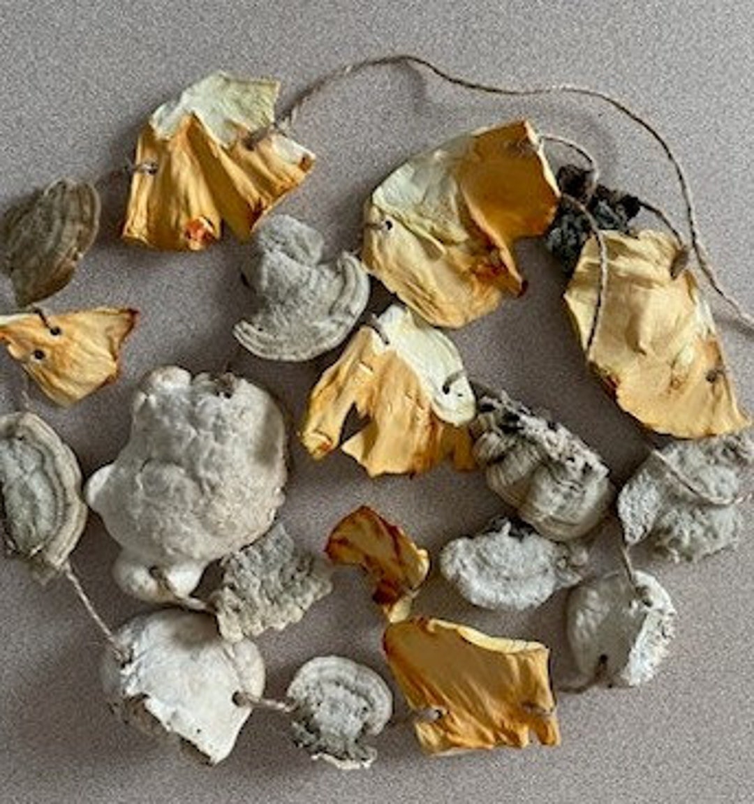 Natural Dried Mushroom Garland Rustic Dried Mushroom Garland Etsy