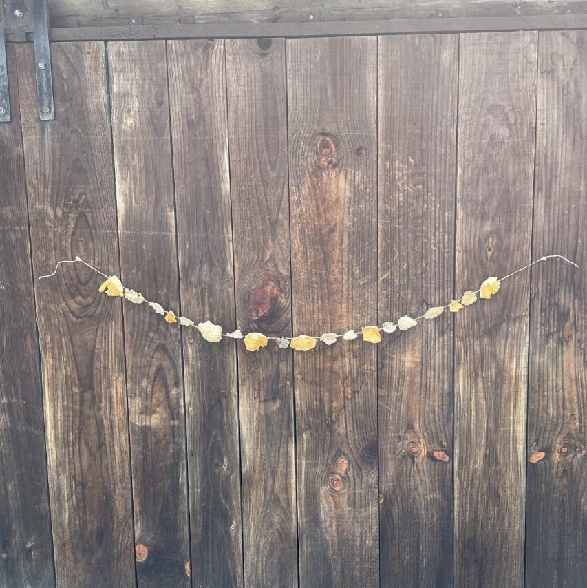 Natural Dried Mushroom Garland Rustic Dried Mushroom Garland Etsy