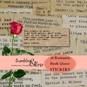 Adesivos com citações de livros românticos, Adesivos de literatura, Adesivos com citações, Adesivos para diário, Presente para amantes de livros, Citações de amor, Poesia, Álbum de recortes