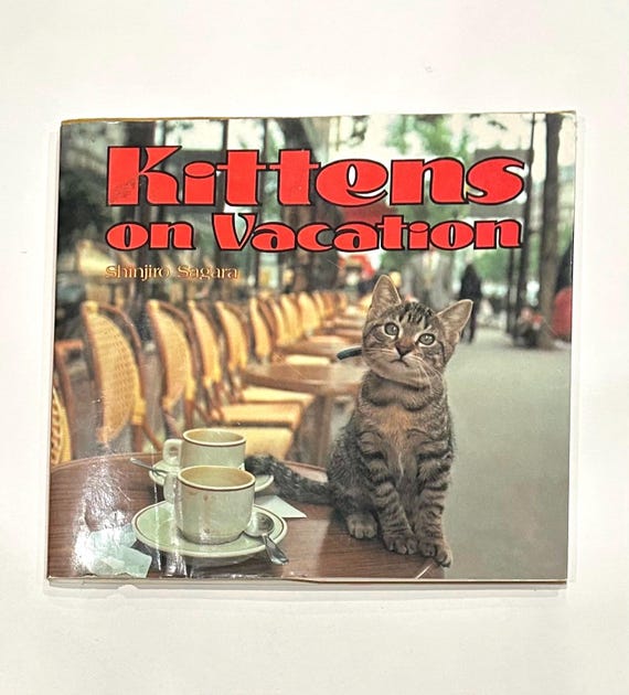 Kittens around the world