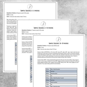 Baby Led Spenen Voedingsschema, Babyvoedingsplanner, 6-8 maanden voedingsschema, 8-10 maanden voedingsschema, 10-12 maanden voedingsschema, Grafiek