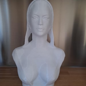 Op de afbeelding: Een witte borstbeeldsculptuur van een vrouw met lang haar en een knot. De sculptuur heeft een gedetailleerd gezicht en staat tegen een neutrale achtergrond. Het borstbeeld is een decoratief item.