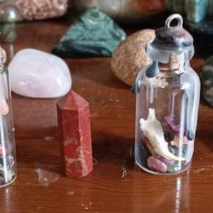 Muskrat Jaw Bone Gem Spell Jars