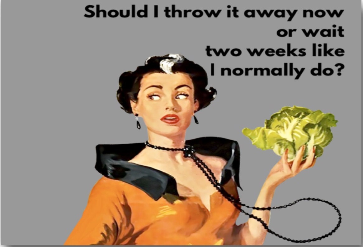 Should I Throw It Away Now or Wait Two Weeks Like I Normally Do a Funny