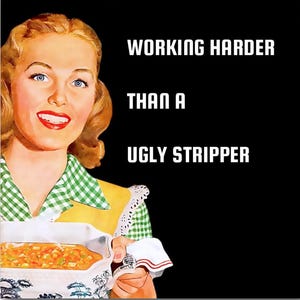 Working Harder Than A Ugly Stripper.All on a 2.5” Square Metal Refrigerator Magnet.