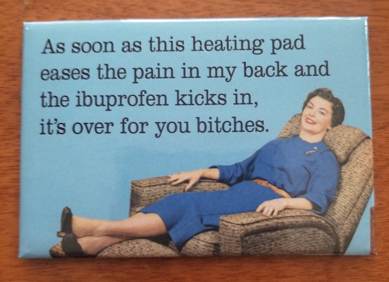 Its Over For You Bitches Now on a 2x3 Refrigerator Magnet with Glossy Finish and Metal Construction.A Gift for Him or Her. image 2