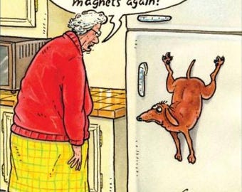 Has Someone Eaten All The Refrigerator Magnets : Funny Magnet For Him or Her.