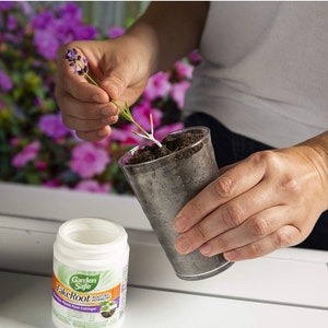 Rooting hormone; Garden Safe Brand TakeRoot Rooting Hormone 2 Ounces, Helps Grow New Plants From Cuttings image 2
