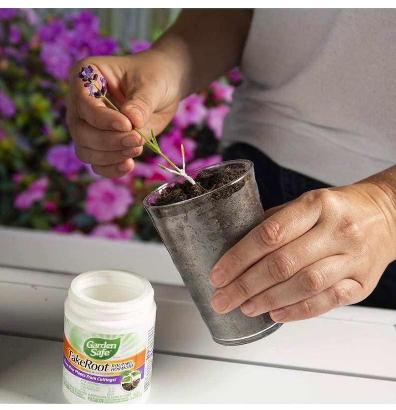 Rooting hormone; Garden Safe Brand TakeRoot Rooting Hormone 2 Ounces, Helps Grow New Plants From Cuttings image 2