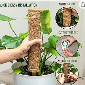 29 - 60 tums mossstång för Monstera-växter - 2 premium kokosmossstänger - 65 fot trädgårdsvridband - Träna krukväxter för klätterväxter
