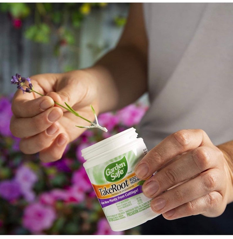 Rooting hormone; Garden Safe Brand TakeRoot Rooting Hormone 2 Ounces, Helps Grow New Plants From Cuttings image 3