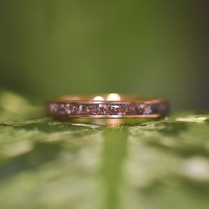 Cremation Keepsake Ring -  Dainty Pet Ashes Ring- Sterling Silver, Stainless Steel, Tungsten, Titanium, Ceramic rings, Thin- 3mm, 4mm, 6mm