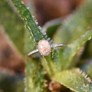 May include: A silver ring with a light brown oval-shaped gemstone set in a prong setting. The ring is surrounded by smaller clear gemstones.