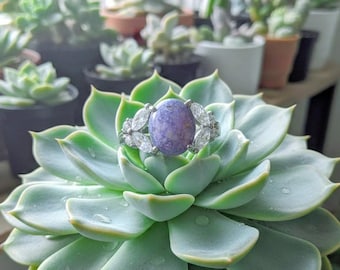 Stainless Steel Cremation Ring: Pet Ashes Keepsake Jewelry, Memorial piece. Oval, princess, marquis. Sizes 5-10