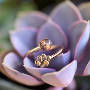 Cremation memorial ring -14K gold plated 925 sterling silver, 6mm round- adjustable (size 8-12) pawprint Cremains Pet ashes ring