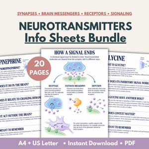 May include: A 20-page digital bundle of educational info sheets titled NEUROTRANSMITTERS Info Sheets Bundle. The pages feature diagrams and text explaining synaptic signalling, norepinephrine, and glycine, available in A4 and US Letter sizes.