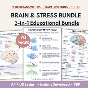 May include: A 70-page Brain & Stress Bundle 3-in-1 educational PDF set featuring diagrams of neurotransmitters, brain functions, and stress. Includes pages titled Chemical Messengers During Stress, How Neurotransmission Works, and Temporal Lobe.