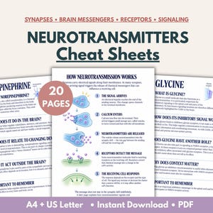 May include: A set of 20 pages of Neurotransmitters Cheat Sheets in PDF format. The documents feature educational text, diagrams of synaptic signalling, and headers like Norepinephrine and Glycine. Includes A4 and US Letter size options.