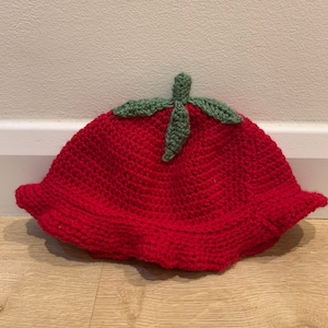 May include: A red crocheted bucket hat with a green crocheted leaf design on top.