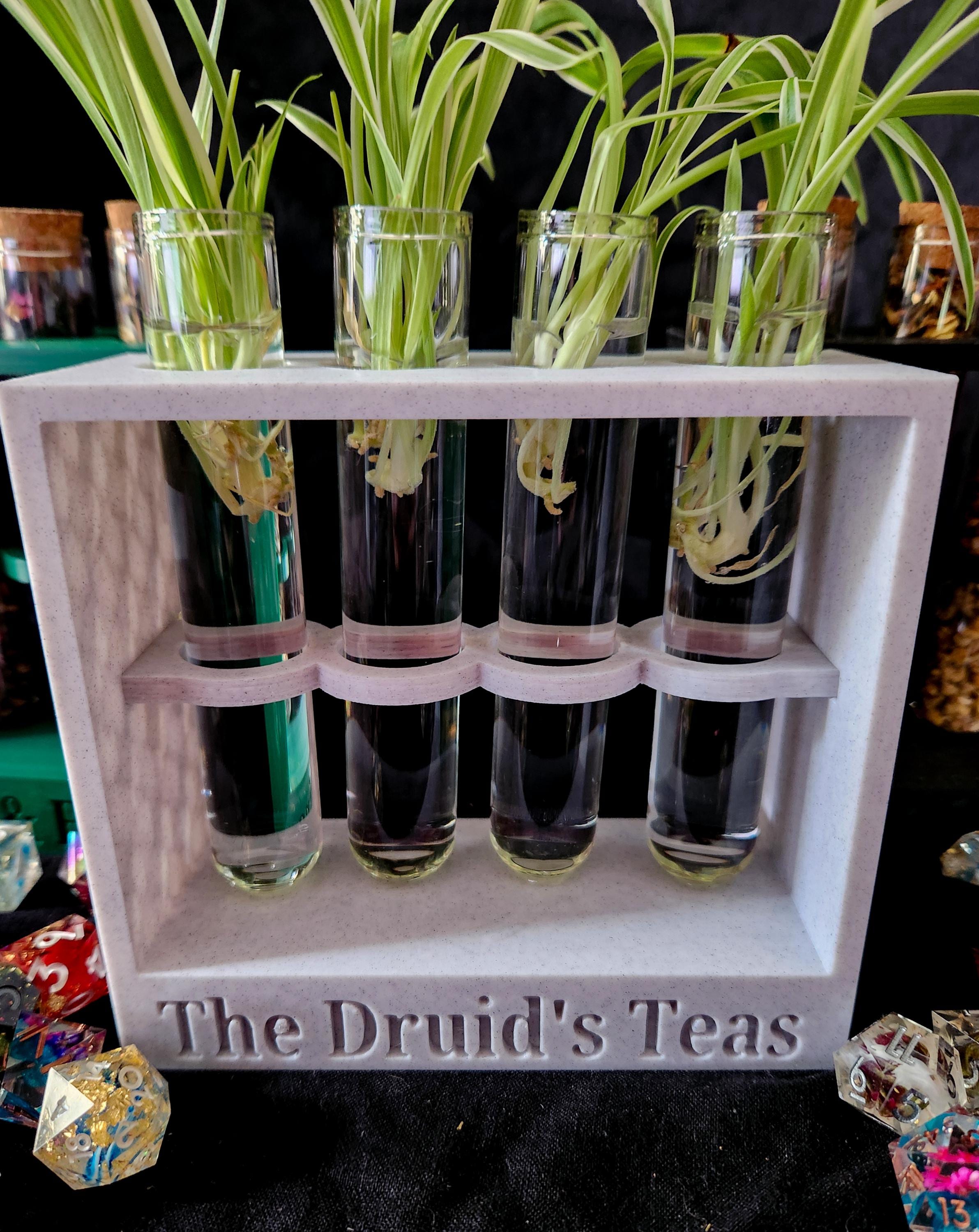 Potion Rack Test Tube and Potion Display Rack | Customizeable | 3d Printed - Etsy