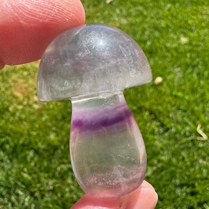 Rainbow fluorite crystal mushroom 1 5/8”