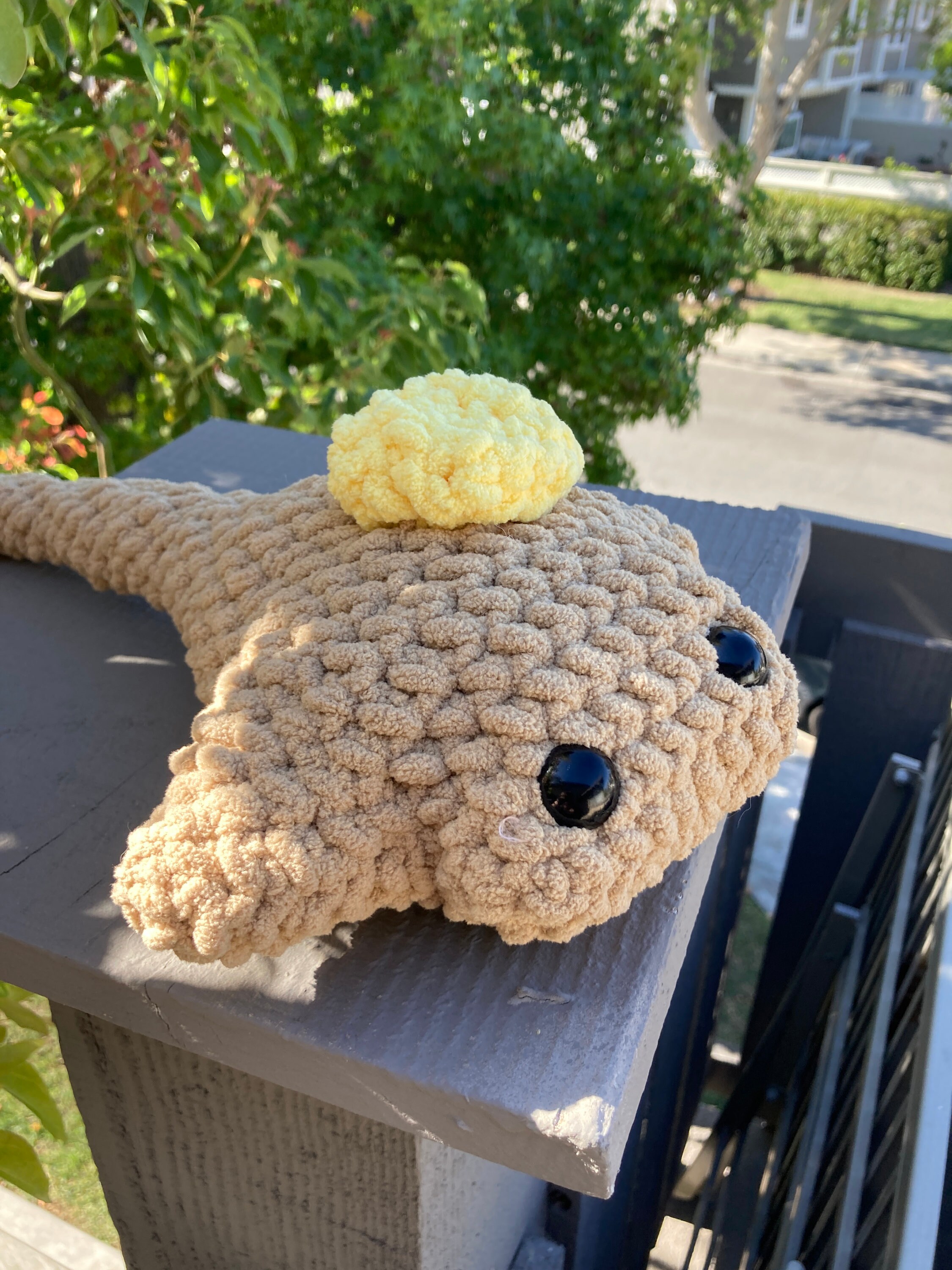 Pancake Stingray With Butter Etsy