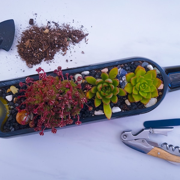 DIY Succulent Wine Bottle Planter