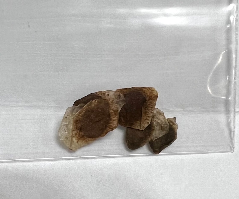 May include: A close-up of several brown tea bags in a clear plastic bag. The tea bags are crumpled and have a light brown color.
