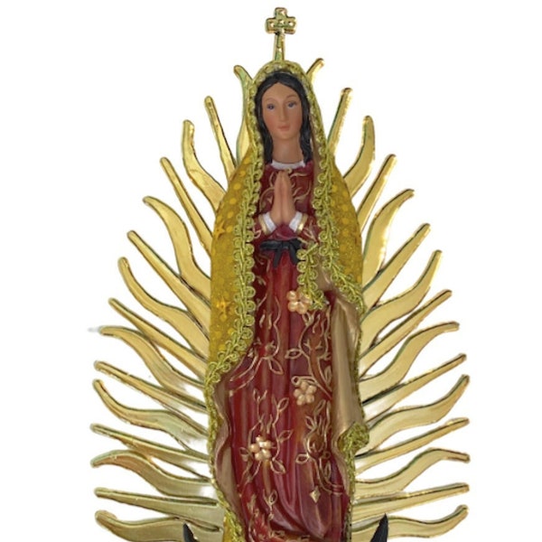our lady of guadalupe cloak eyes