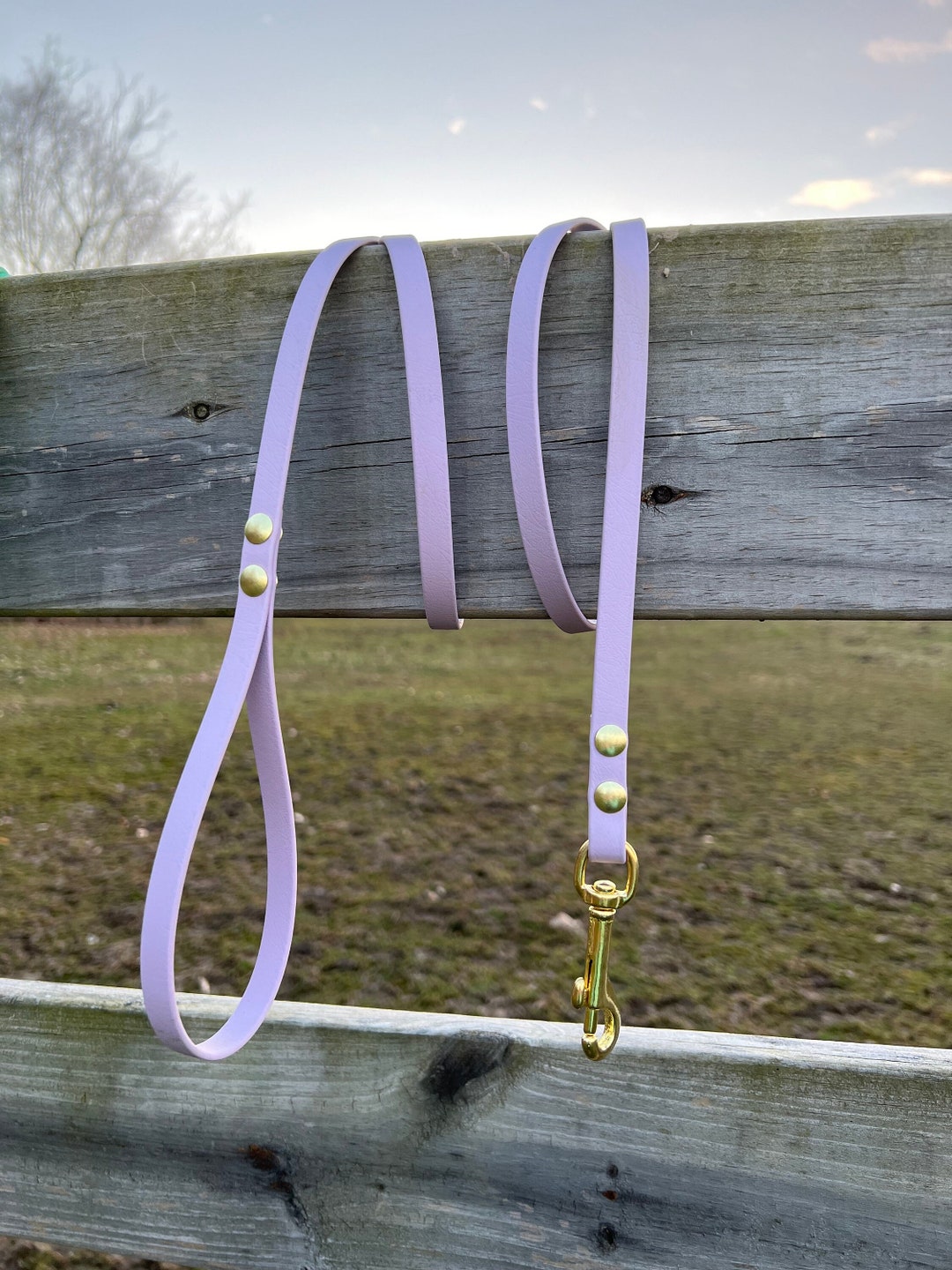 Lavender Biothane Leash Waterproof Dog Leash Durable Etsy