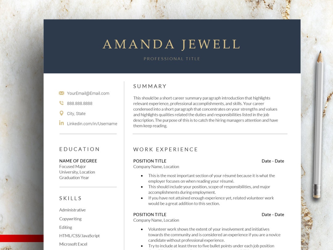 CV RESUME visual data 4
