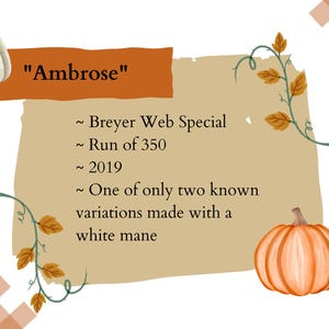 May include: A brown paper scroll with the text "Ambrose" and information about a Breyer Web Special horse model. The text reads: "Breyer Web Special, Run of 350, 2019, One of only two known variations made with a white mane."