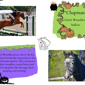 Reference Card Template - Halter - Spooky