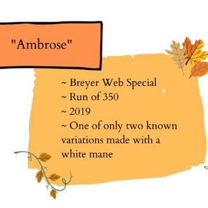 Reference Card Template - Collectability - Autumn