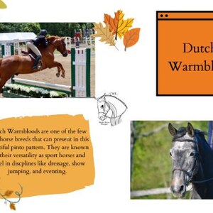 Referenz Karten Vorlage - Herbst Bundle