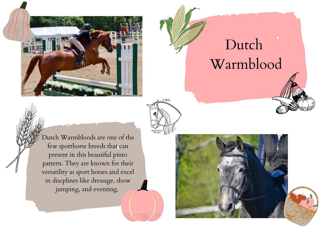 Reference Card Template- Plentiful in Pink Bundle - Etsy