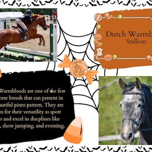 Referenz Karte Vorlage - Sweet & Spooky Bundle