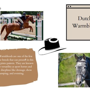 Referenzkartenvorlage - Western Bundle
