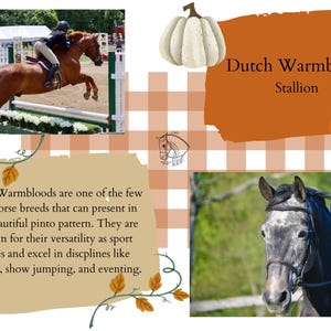 Referenz Karte Vorlage - At the Patch Bundle