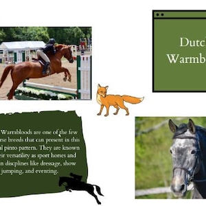 Referenzkartenvorlage - Englisches Bundle