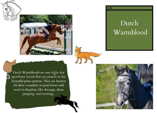 Reference Card Template English Bundle - Etsy