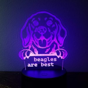 Beagle dog personalized acrylic night light / sign, multicolored led light.
