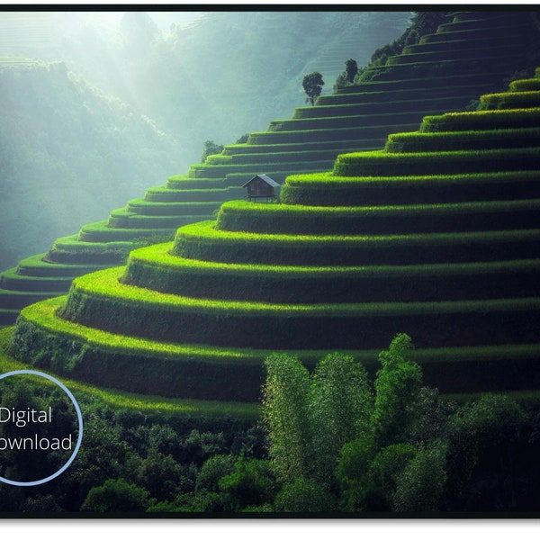 Terraced Rice Paddy Field Wall Art Instant Digital Download Printable Wall Decor in 16 Sizes up to Poster Size 36 inches x 24 inches