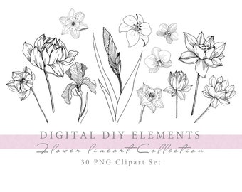 Floral Wildflower Lineart PNG - Printable Digital Download for DIY Crafts - Botanical Line Art Clipart - Black and White Wildflower