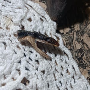 May include: A set of three ceramic mugs with a speckled, matte finish. The mugs are in shades of cream, light gray, and dark gray. Each mug has a simple, minimalist design, perfect for coffee or tea.